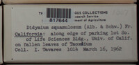Image Associated With the Occurence